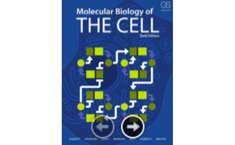 molecular biology of the cell 6th ed